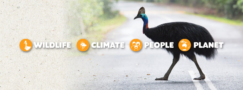 Rainforest 4 Foundation