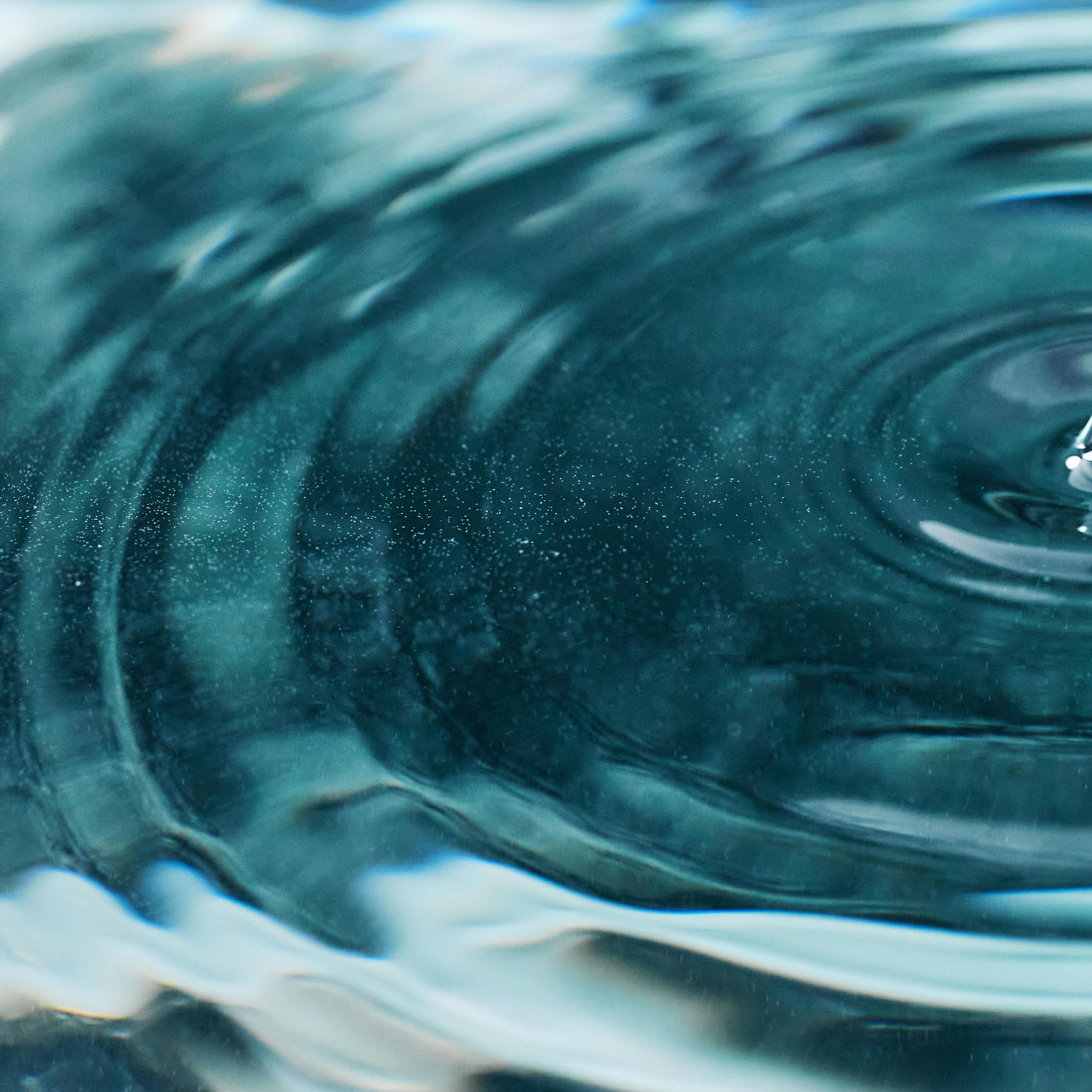 Close-up of a water droplet hitting water surface creating concentric circles.